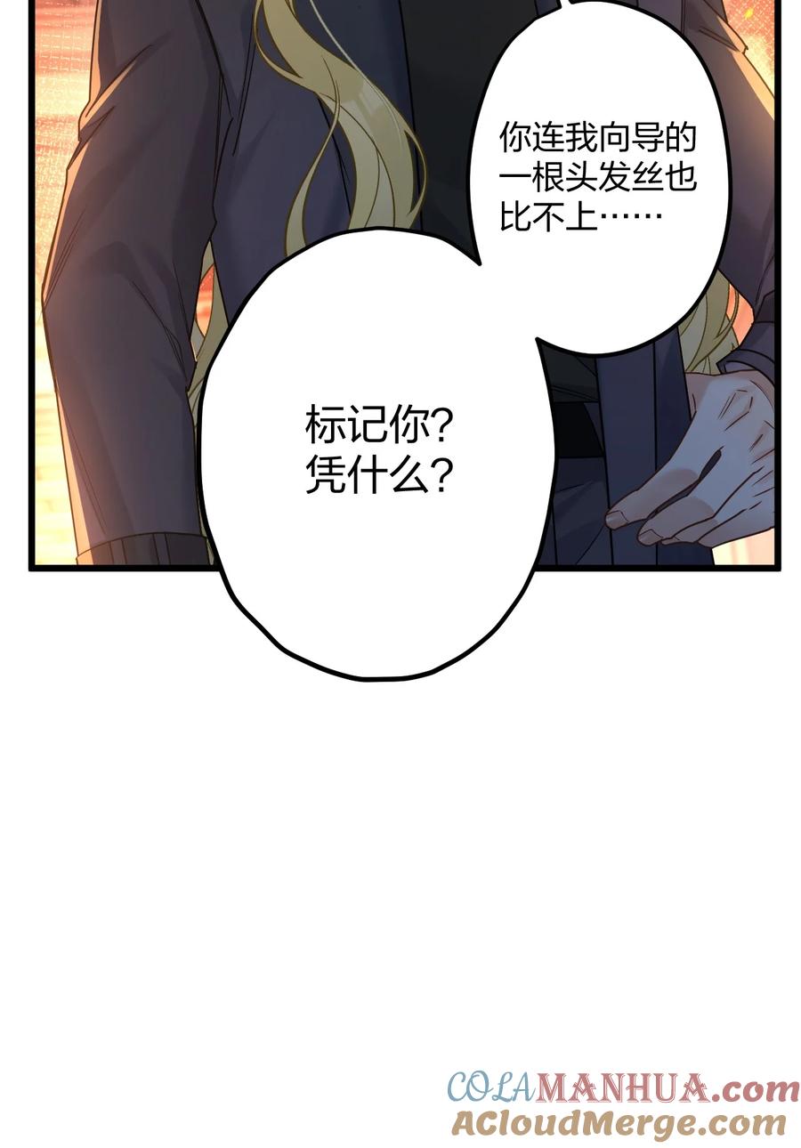 钟情 24 选择题 第25页