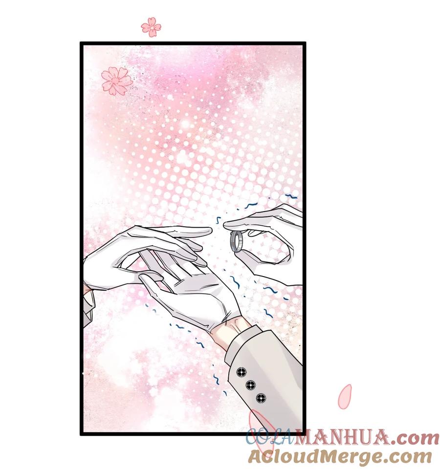 钟情 56 婚礼进行时 第37页