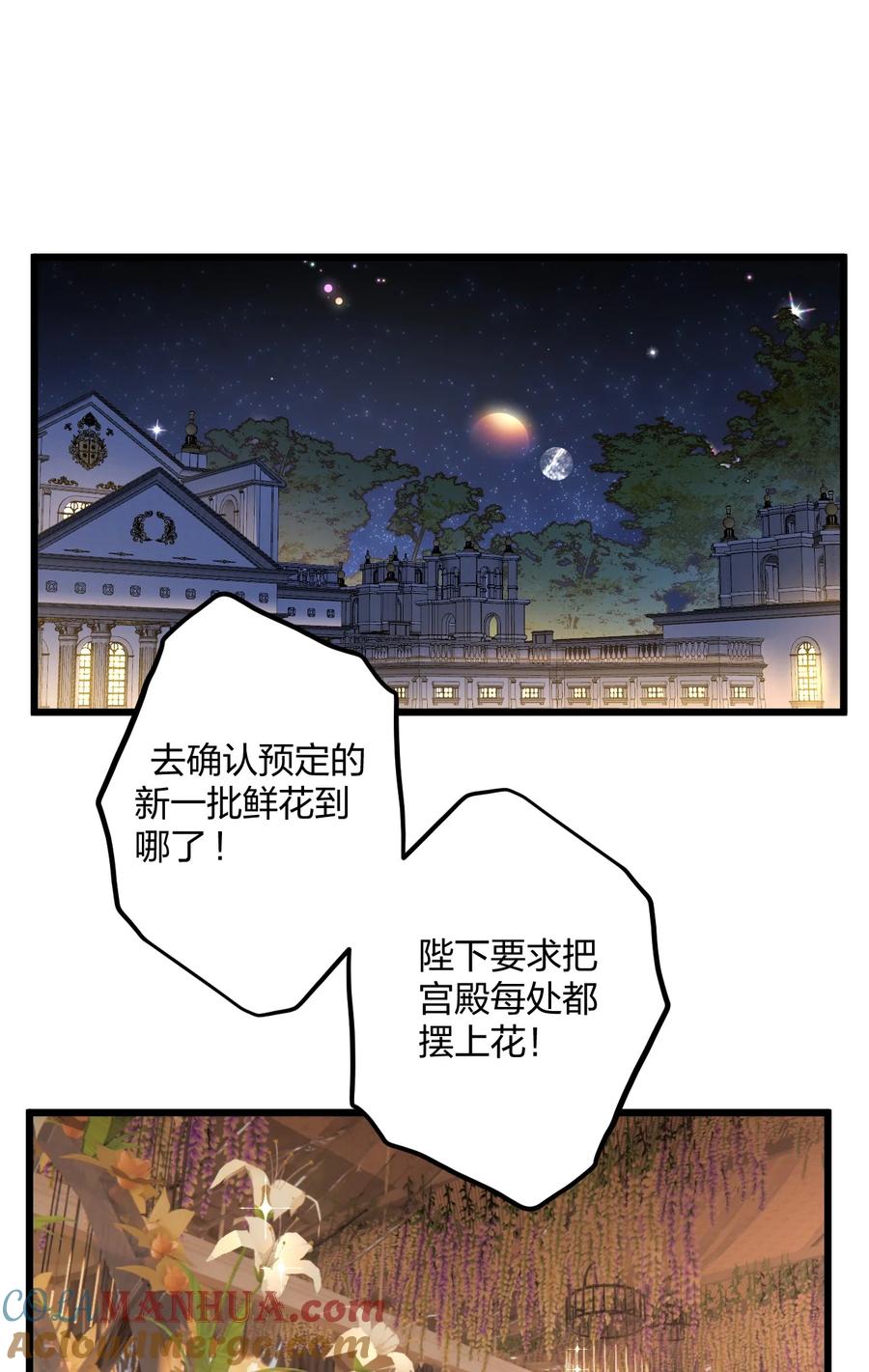 钟情 56 婚礼进行时 第4页