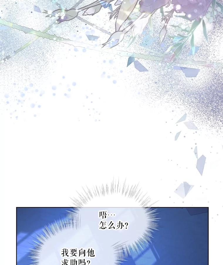 重生为神兽宝宝 - 21.意外相遇 - 第58张图