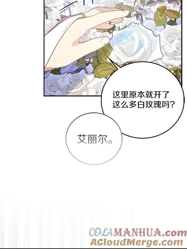 《众神迷恋我这个假圣女》24.庭院里的白玫瑰 第65页