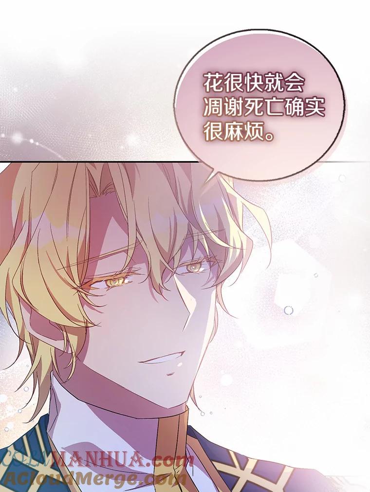 《众神迷恋我这个假圣女》24.庭院里的白玫瑰 第81页