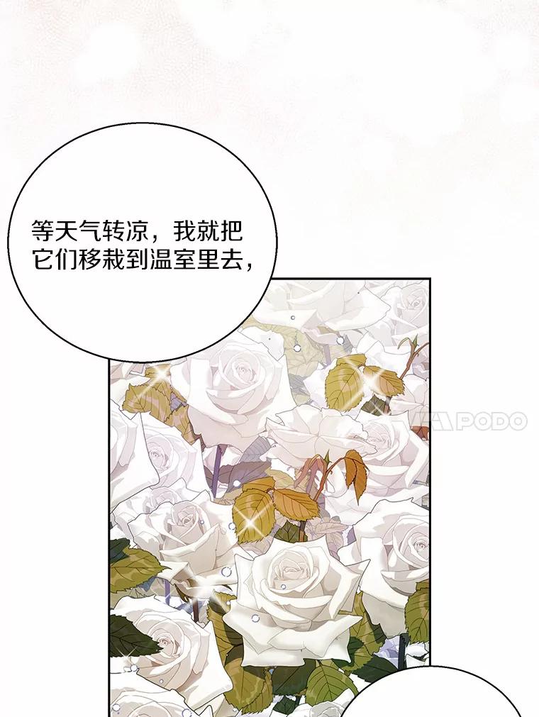 《众神迷恋我这个假圣女》24.庭院里的白玫瑰 第86页