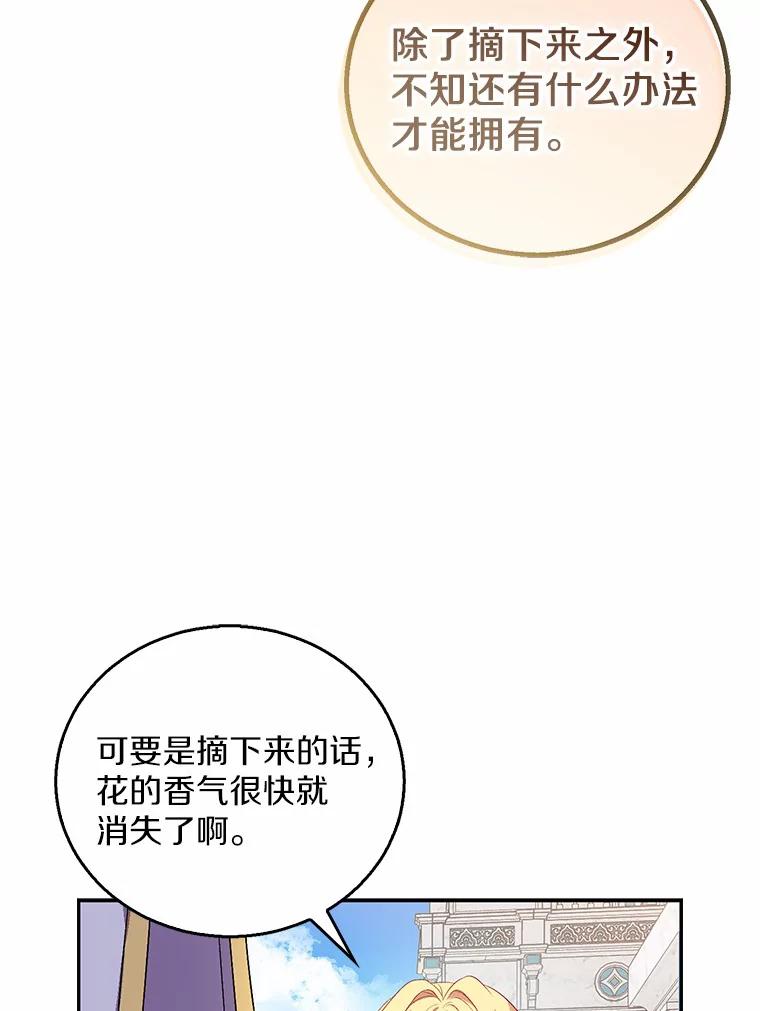 《众神迷恋我这个假圣女》24.庭院里的白玫瑰 第79页