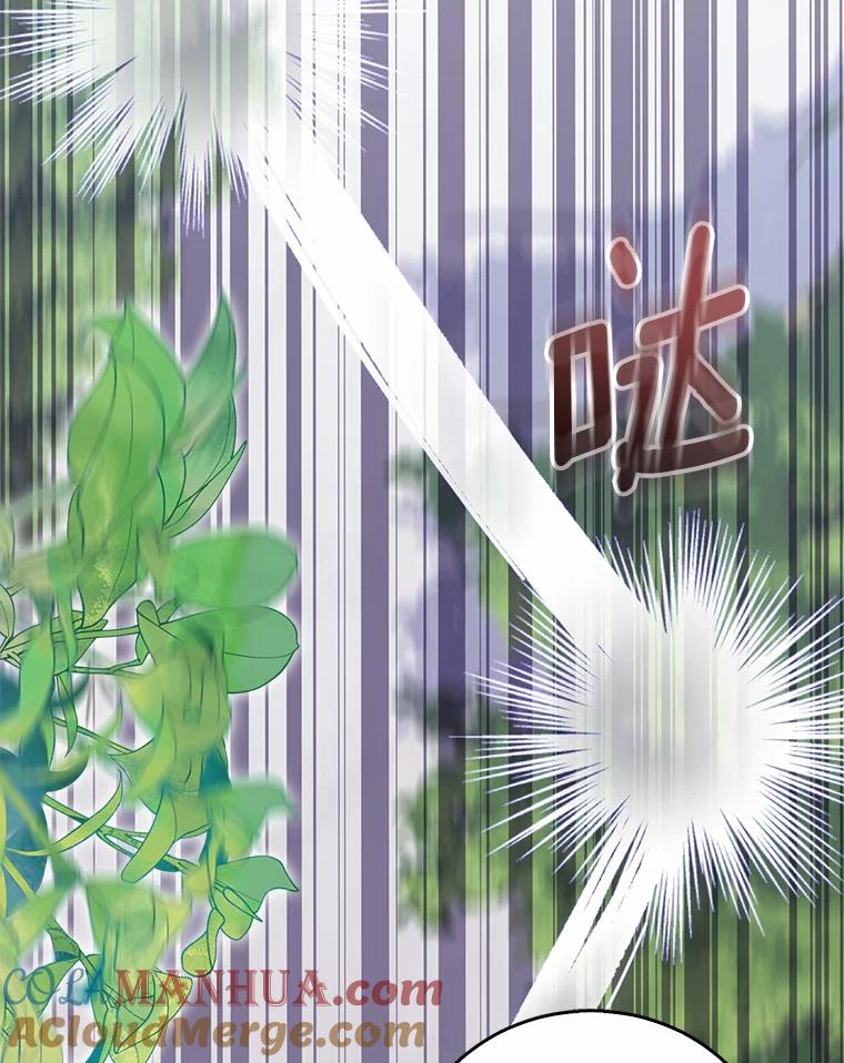 《众神迷恋我这个假圣女》45.魔法夜市 第41页
