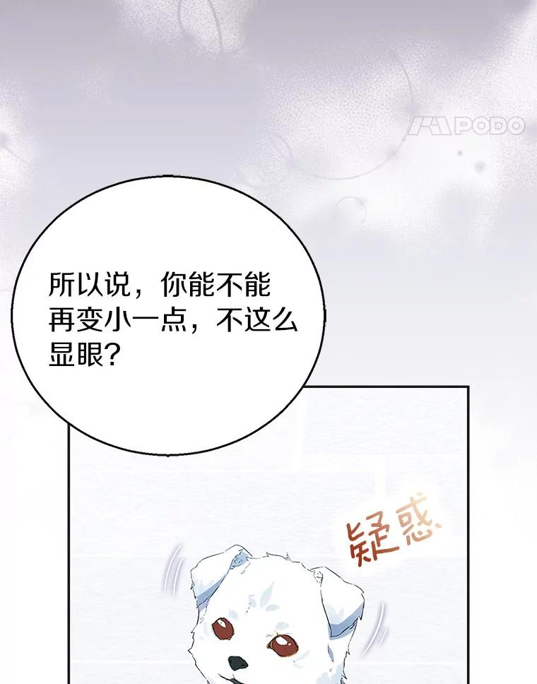 《众神迷恋我这个假圣女》54.破壳而出 第43页