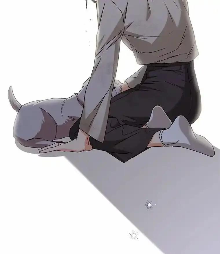 《你好？兽医先生！》66.心软的神（1） 第118页