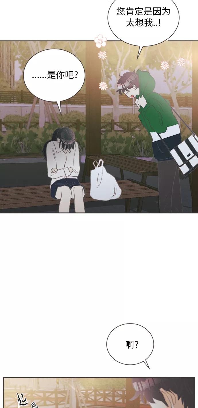 《仲夏，夜之梦》[第11话] 迎春花&爬山虎（5） 第42页