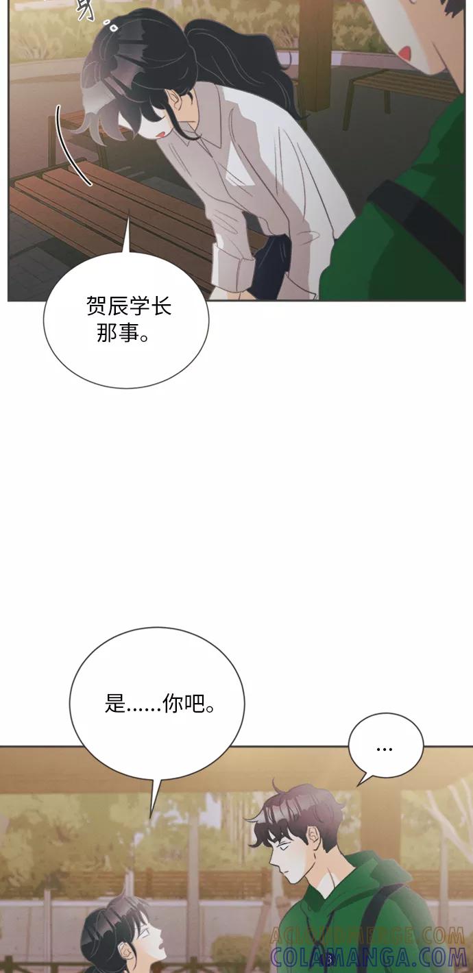 《仲夏，夜之梦》[第11话] 迎春花&爬山虎（5） 第43页