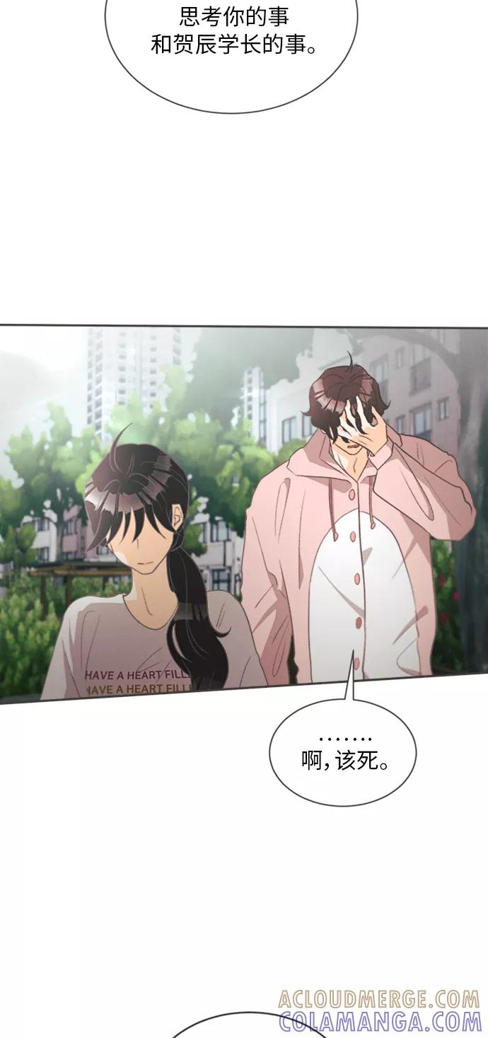 《仲夏，夜之梦》[第14话] 迎春花&爬山虎（8） 第13页