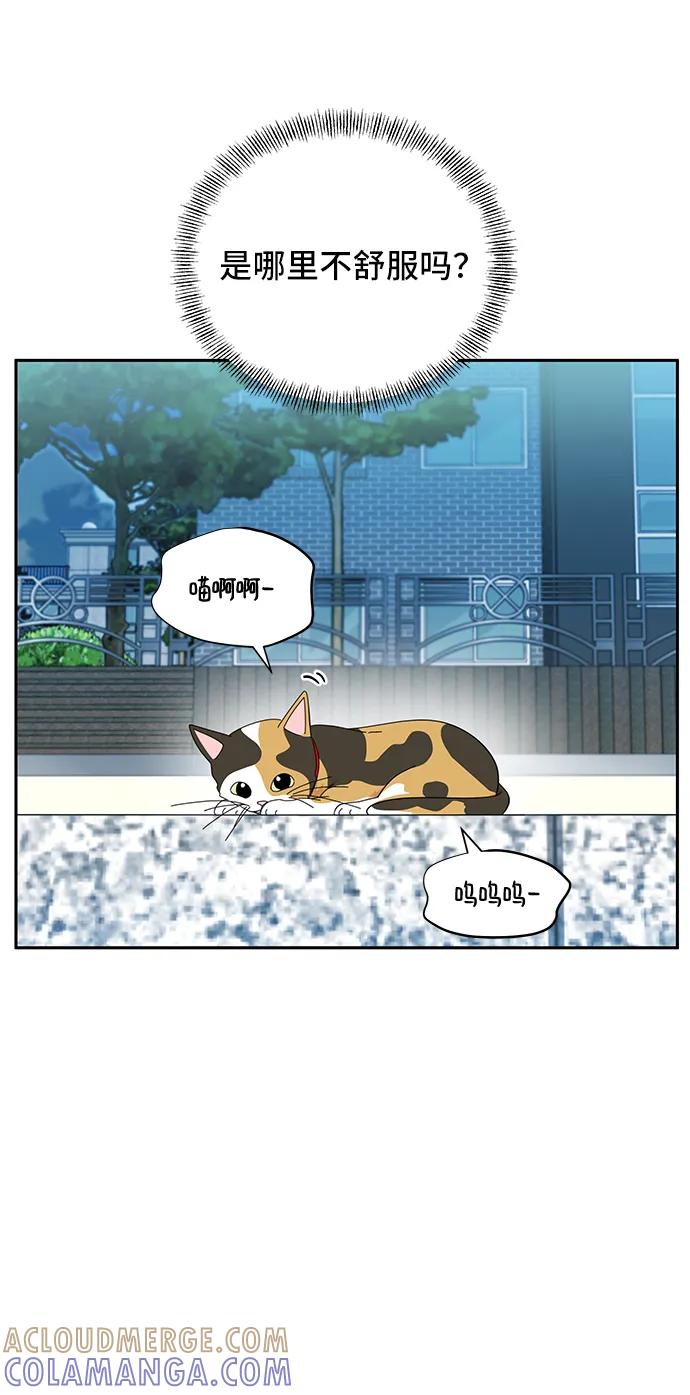 《嘴唇漂亮的男人》第38话 第43页
