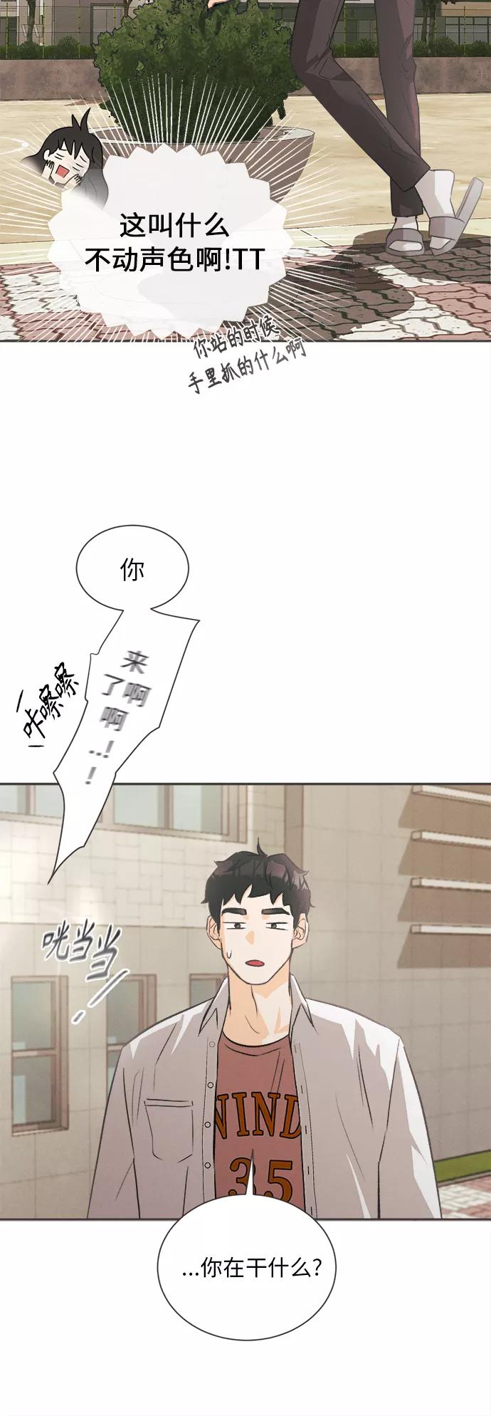 《仲夏，夜之梦》[第5话] 绣球花（5） 第32页