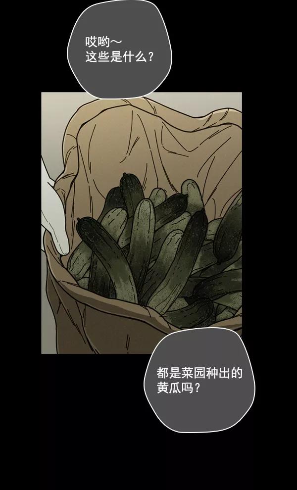 《种植部神秘日志》[第9话] 血滴般的番茄落下（4） 第38页