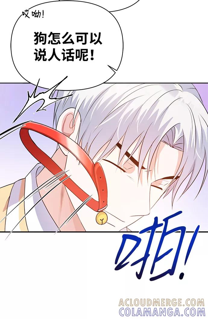 《神圣的爱豆》第20话 第46页