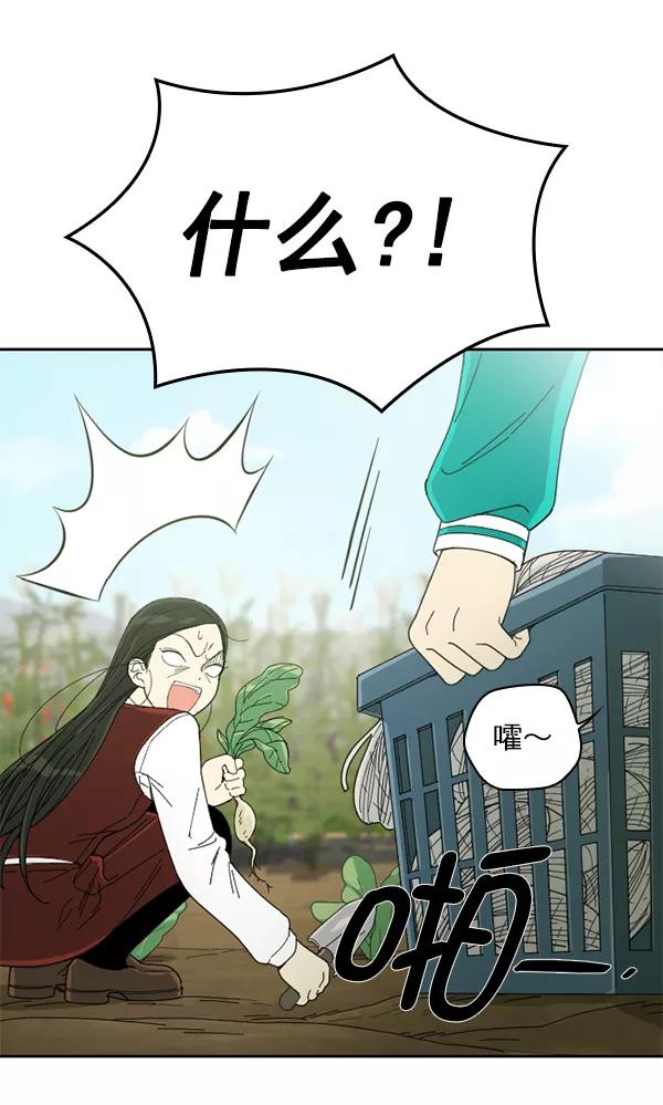 《种植部神秘日志》[第3话] 老师为什么这么做（1） 第11页