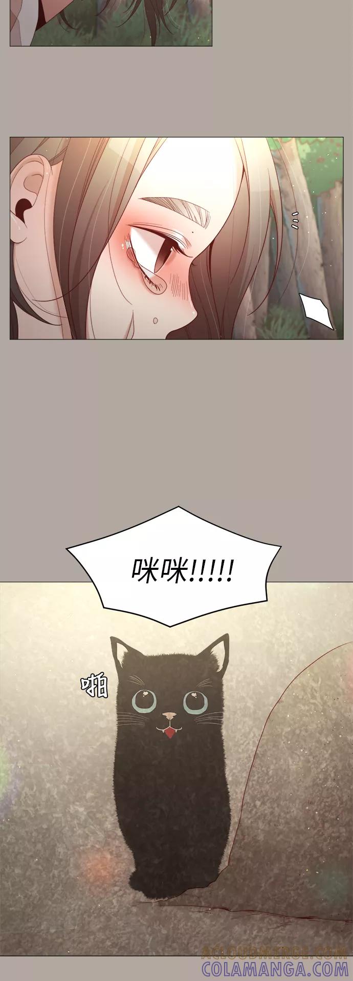 《牵牛和仙女》第54话 第43页