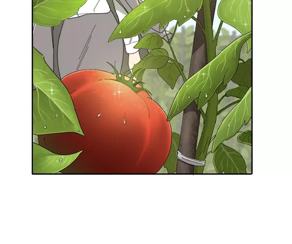 《种植部神秘日志》[第6话] 血滴般的番茄落下（1） 第139页
