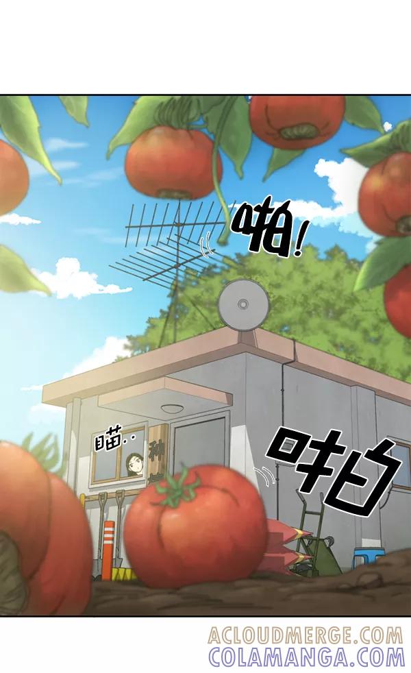 《种植部神秘日志》[第6话] 血滴般的番茄落下（1） 第21页