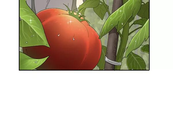 《种植部神秘日志》[第7话] 血滴般的番茄落下（2） 第3页