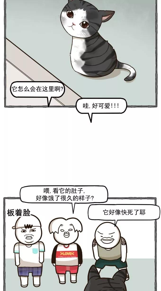 《嘎噢噢求爱大联盟》[第48话] 嘎噢噢之小猫咪！上 第20页