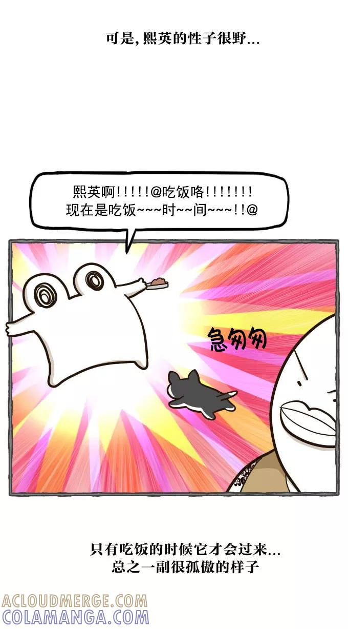 《嘎噢噢求爱大联盟》[第49话] 嘎噢噢之小猫咪！下 第11页