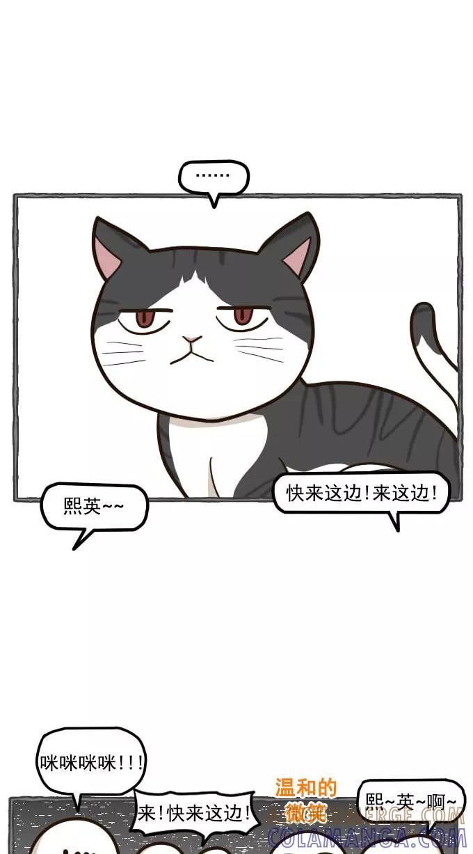 《嘎噢噢求爱大联盟》[第49话] 嘎噢噢之小猫咪！下 第25页