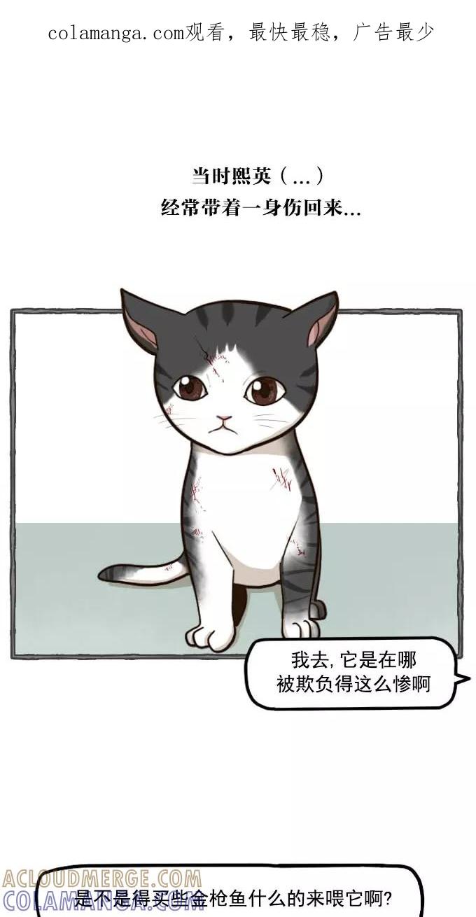 《嘎噢噢求爱大联盟》[第49话] 嘎噢噢之小猫咪！下 第1页