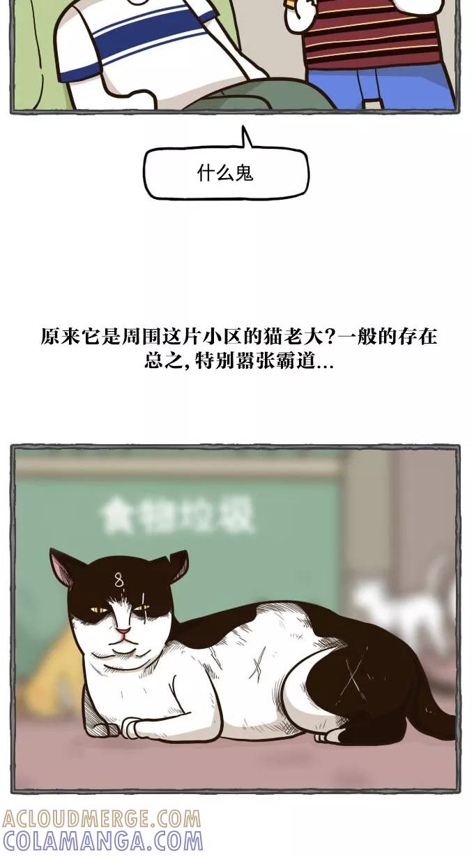《嘎噢噢求爱大联盟》[第49话] 嘎噢噢之小猫咪！下 第5页