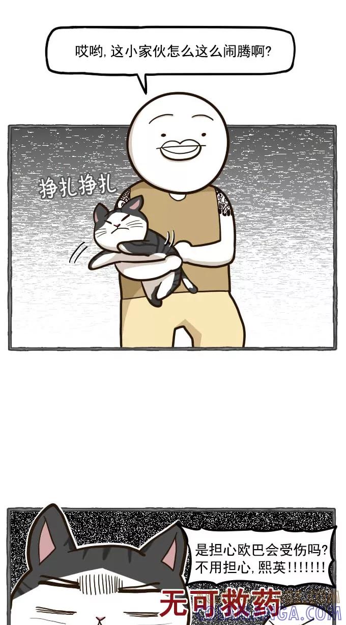 《嘎噢噢求爱大联盟》[第49话] 嘎噢噢之小猫咪！下 第9页
