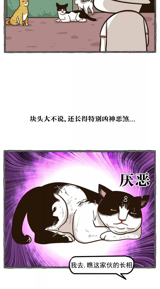 《嘎噢噢求爱大联盟》[第49话] 嘎噢噢之小猫咪！下 第16页