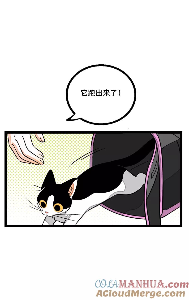 周一至周末 - 第10话 叫我的名字就好 - 第10张图