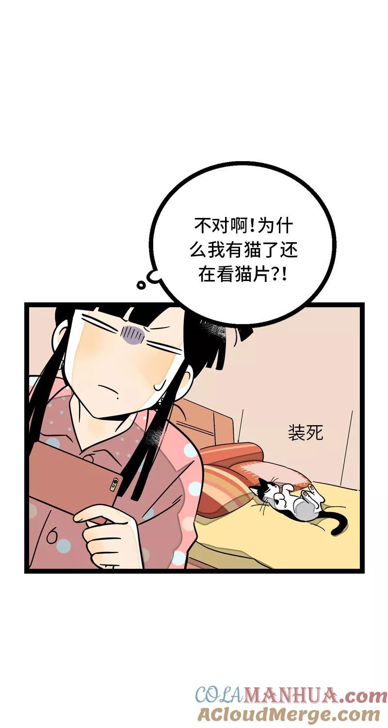 周一至周末 - 第11话 一只特立独行的猫 - 第10张图