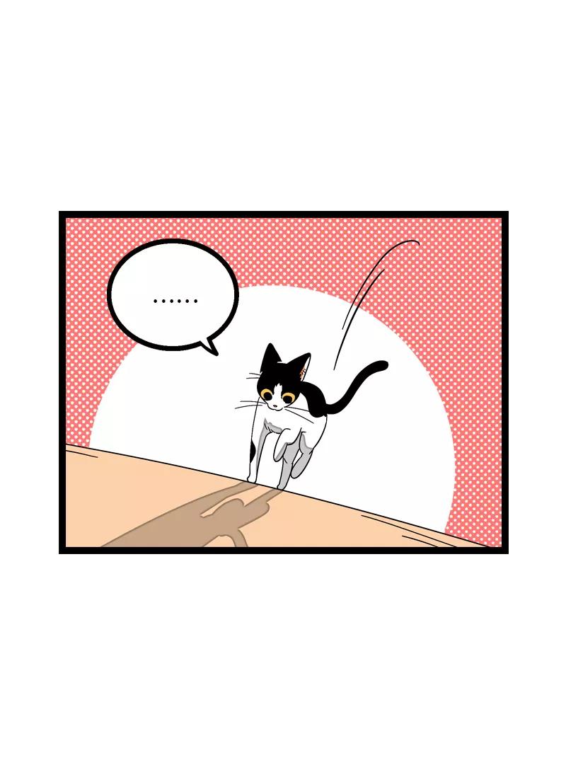 周一至周末 - 第11话 一只特立独行的猫 - 第26张图