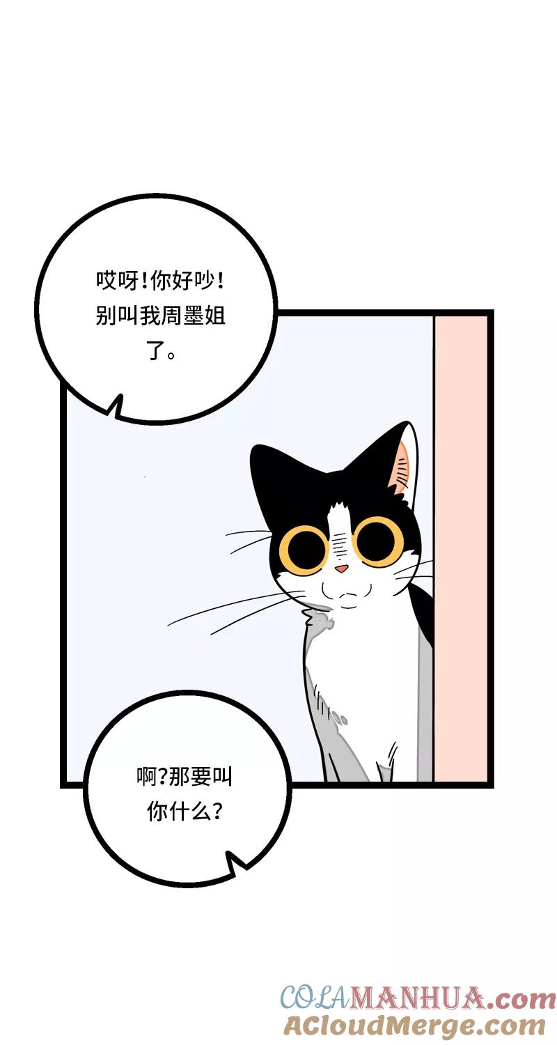 周一至周末 - 第11话 一只特立独行的猫 - 第40张图