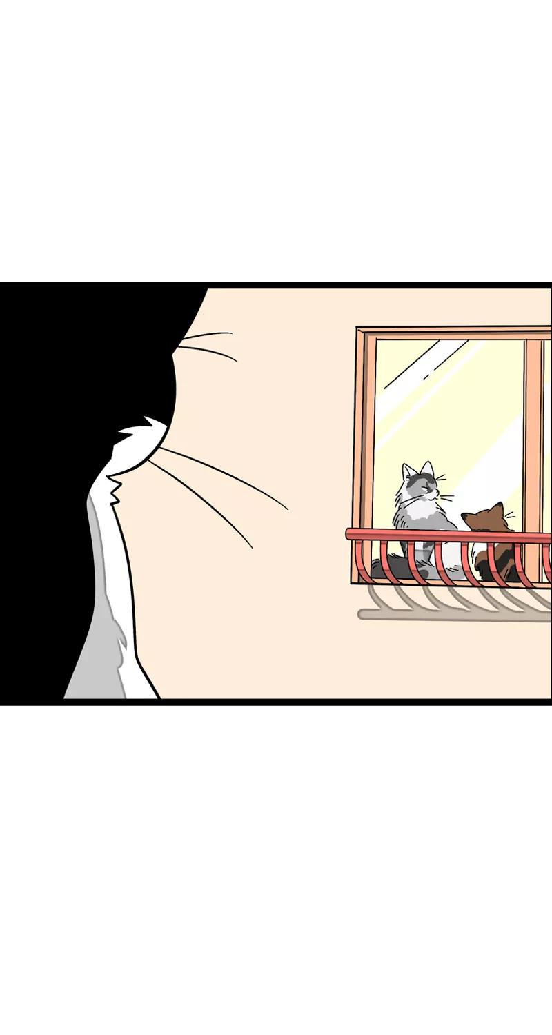 周一至周末 - 第11话 一只特立独行的猫 - 第20张图