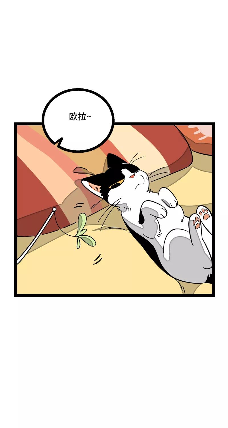 周一至周末 - 第11话 一只特立独行的猫 - 第11张图