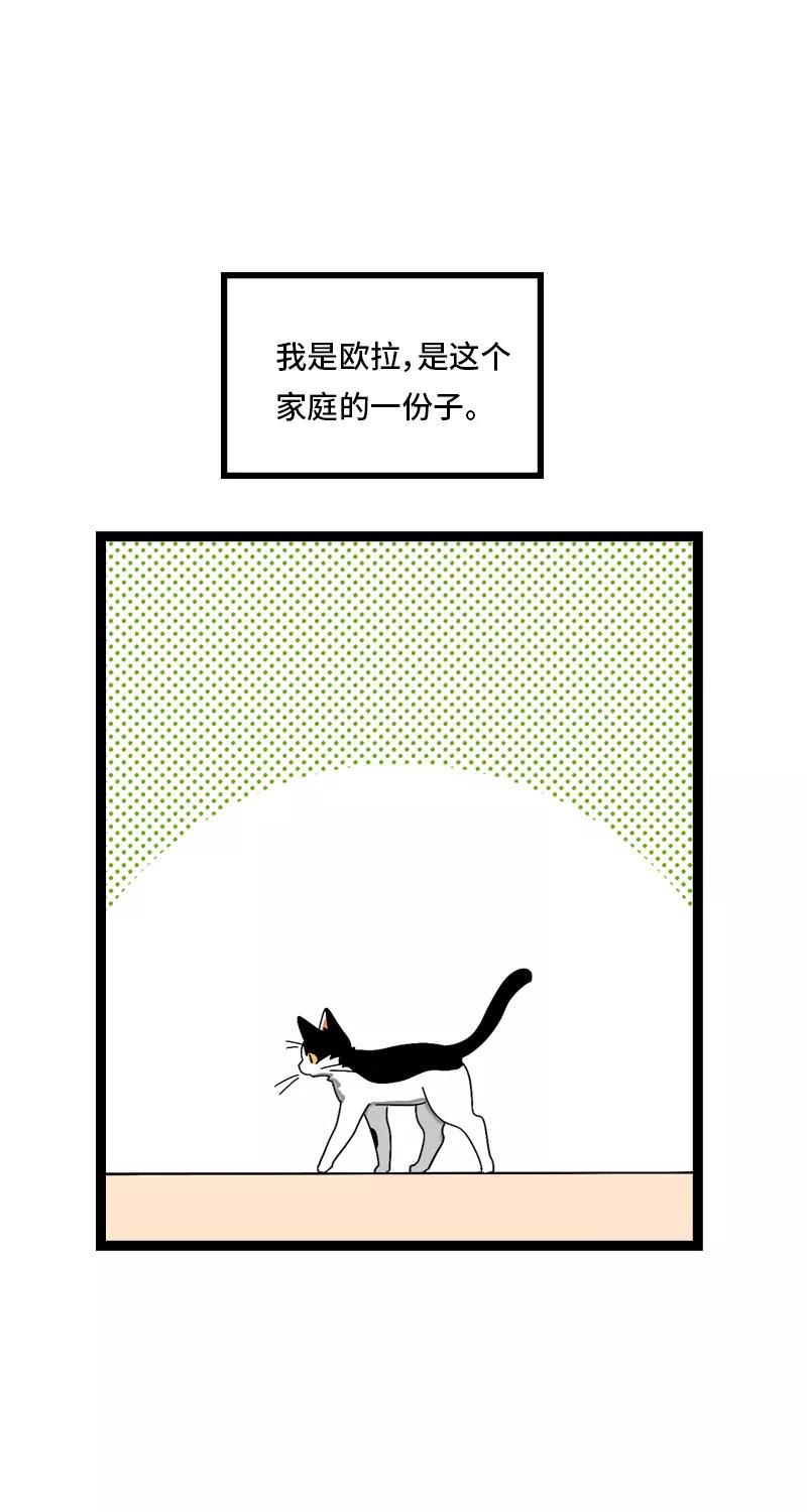 周一至周末 - 第11话 一只特立独行的猫 - 第30张图