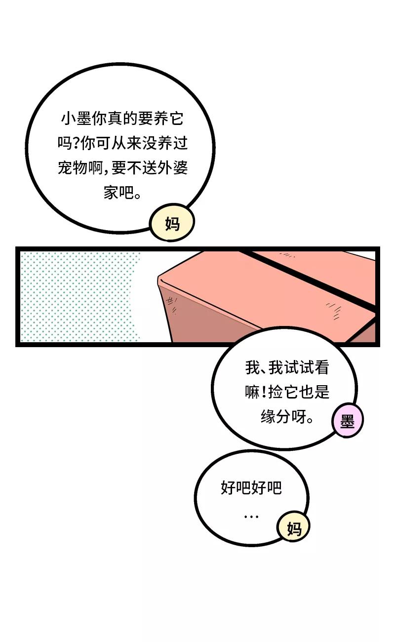 周一至周末 - 第11话 一只特立独行的猫 - 第3张图