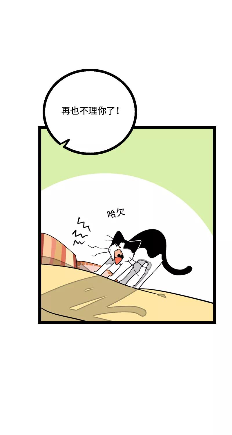 周一至周末 - 第11话 一只特立独行的猫 - 第14张图