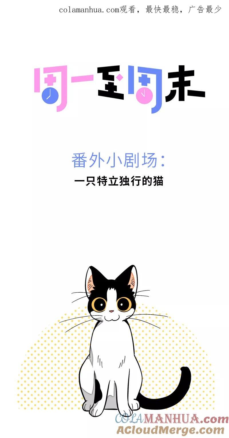 周一至周末 - 第11话 一只特立独行的猫 - 第1张图