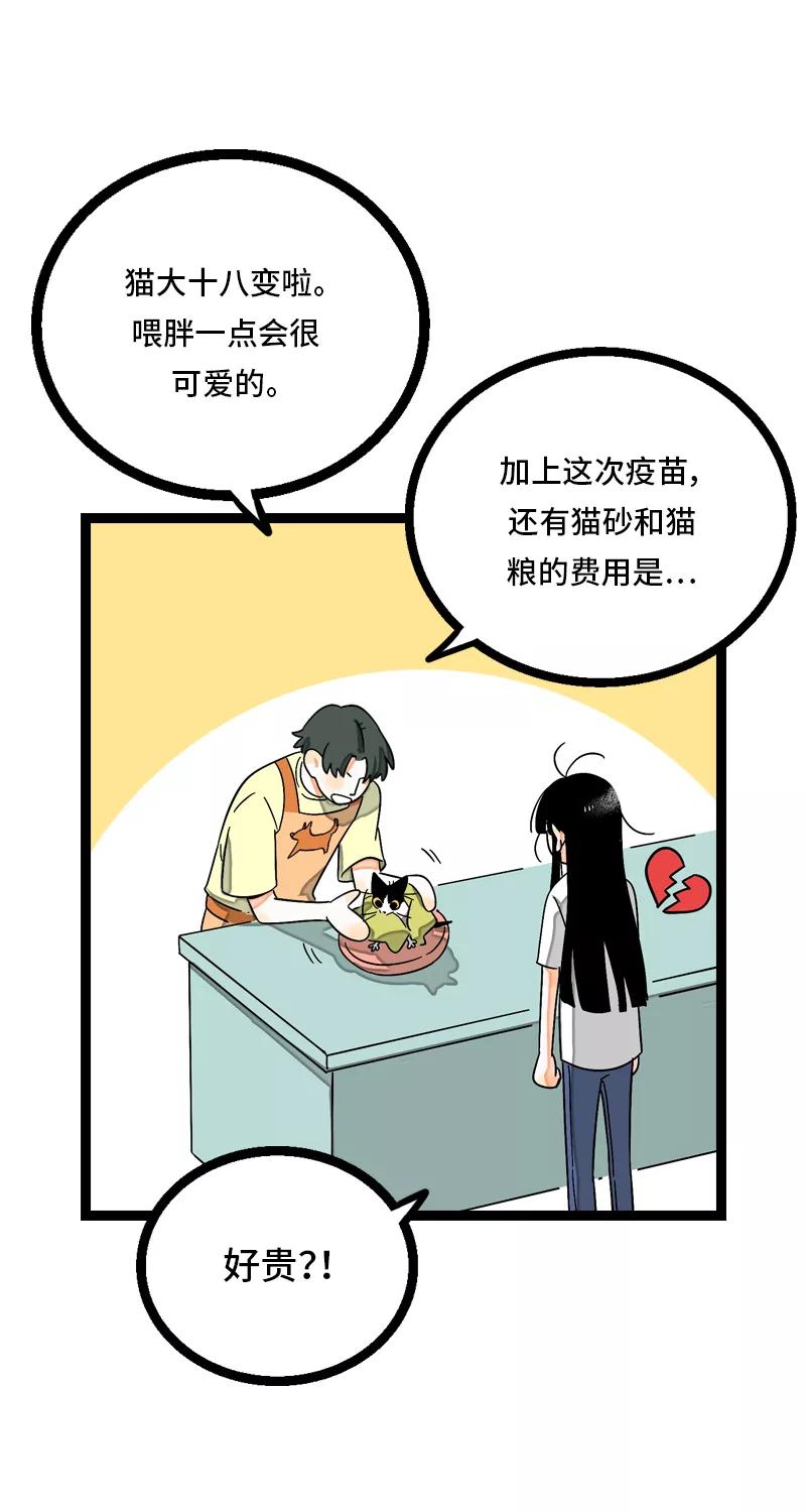 周一至周末 - 第11话 一只特立独行的猫 - 第6张图