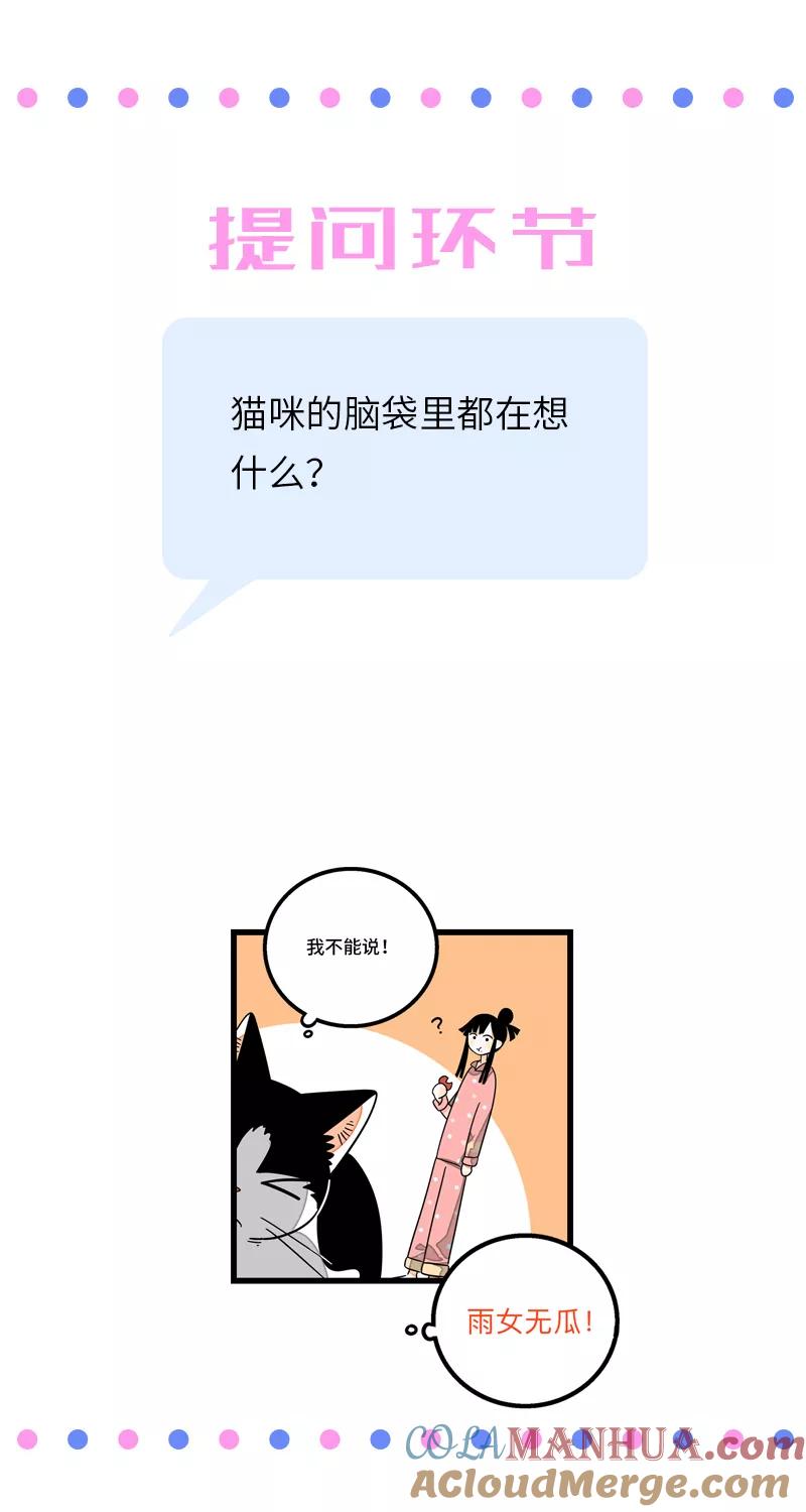 周一至周末 - 第11话 一只特立独行的猫 - 第46张图