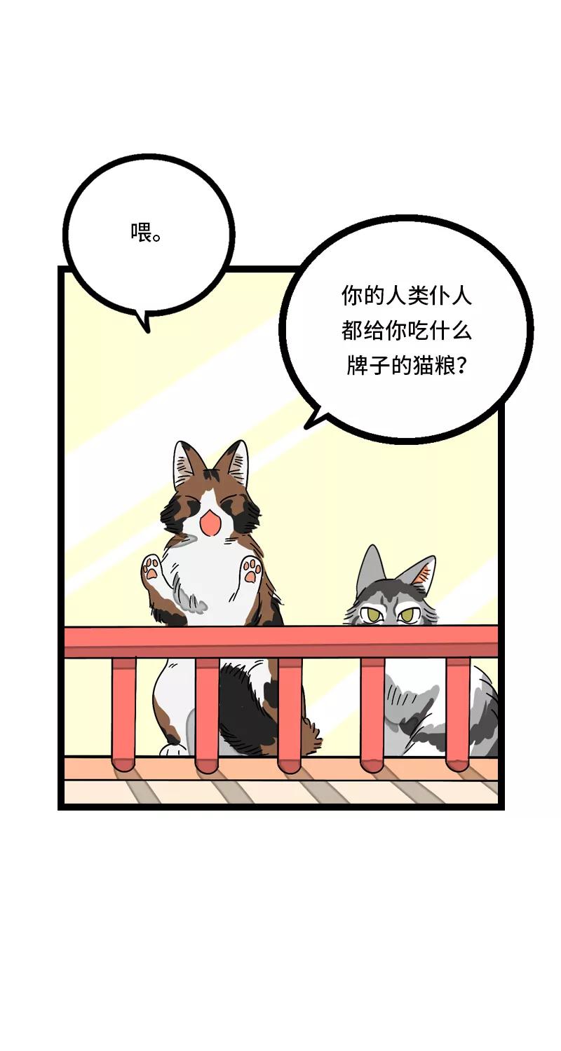 周一至周末 - 第11话 一只特立独行的猫 - 第23张图