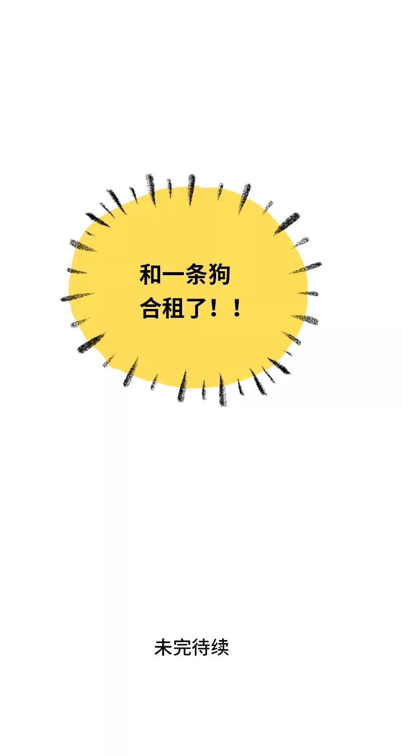 周一至周末 - 第11话 一只特立独行的猫 - 第45张图