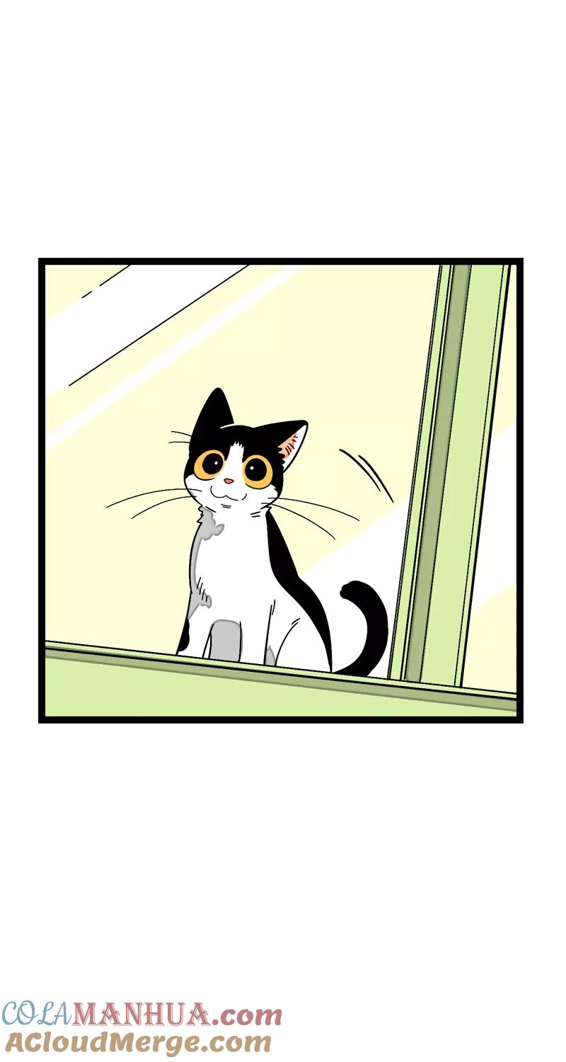 周一至周末 - 第11话 一只特立独行的猫 - 第19张图