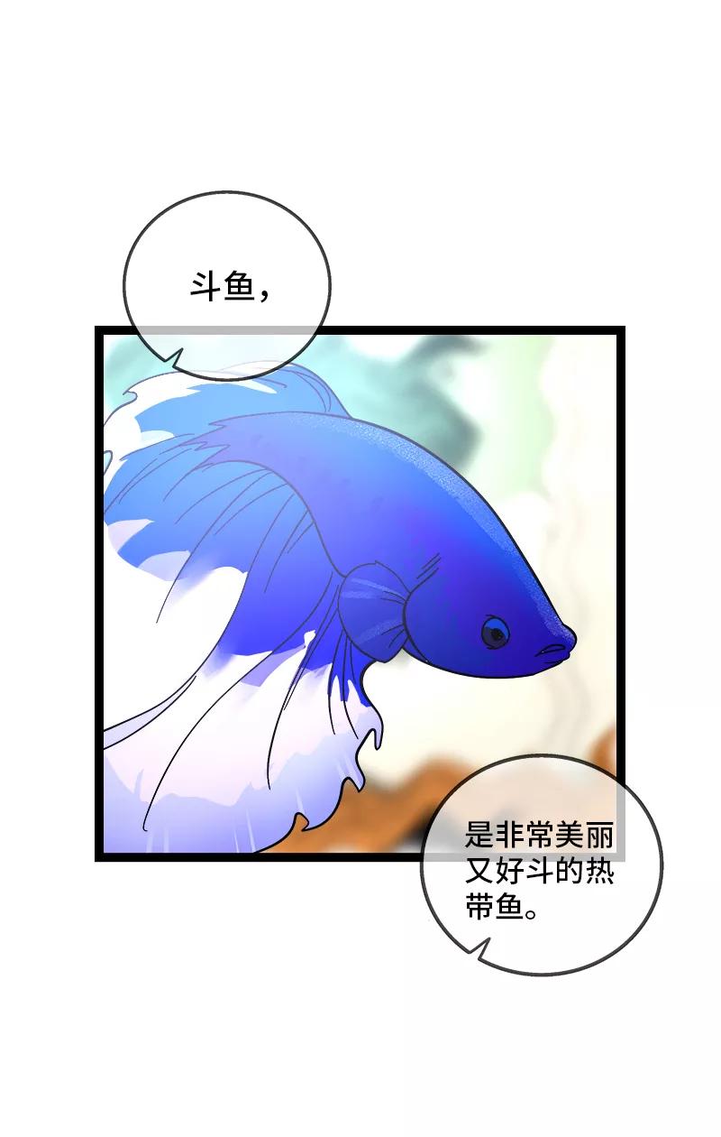 周一至周末 - 第138话 斗鱼 - 第3张图