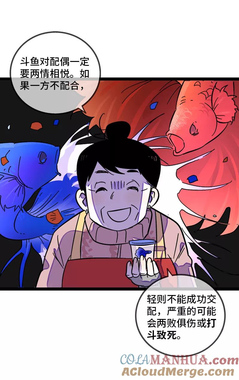 周一至周末 - 第138话 斗鱼 - 第4张图