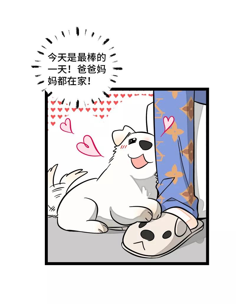 周一至周末 - 第148话 逃避无耻且无用 - 第5张图