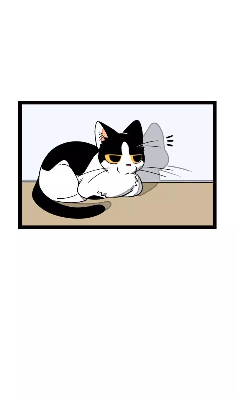 周一至周末 - 第20话 家庭地位 - 第5张图