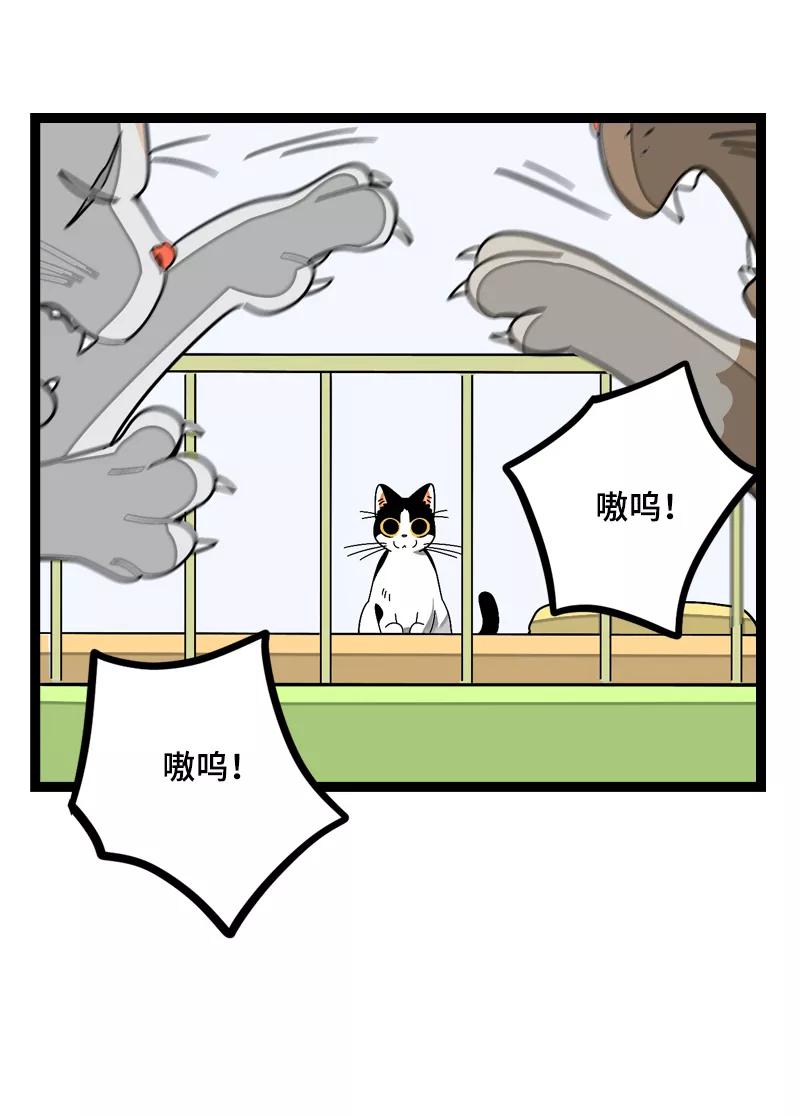 周一至周末 - 第20话 家庭地位 - 第21张图